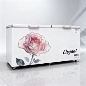 Refrigerador Comercial Industrial <span class=keywords><strong>Pequeño</strong></span>, Tipo <span class=keywords><strong>Arcón</strong></span>/Vertical, Control Electrónico, Enfriamiento Directo -18~+2, con Cerradura para Alimentos Congelados - Product Image 1