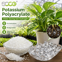 Agent de rétention d'eau résistant à la sécheresse, polyacrylate de potassium, hydrogel polymère, cristaux de gel pour les fleurs et le sol du jardin