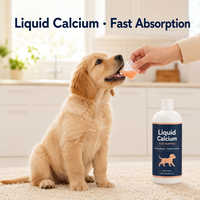 Supplément Triple Calcium pour Chiens – Croissance Osseuse – Sirop de Calcium Liquide Oral – Absorption Facile – Dosage Simple – 120ml – Marque Privée