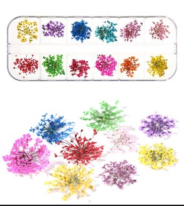 12 Color Lace Dry <b>Flower</b> Nail <b>Sticker</b> Large Dry <b>Flower</b> Box Nail Glitter Accessories Nail Art Product - Product Image 2