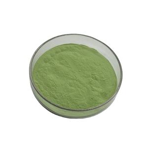 100% pura foglia di menta piperita estratto in polvere di pepe di alta qualità menta in polvere - Product Image 4