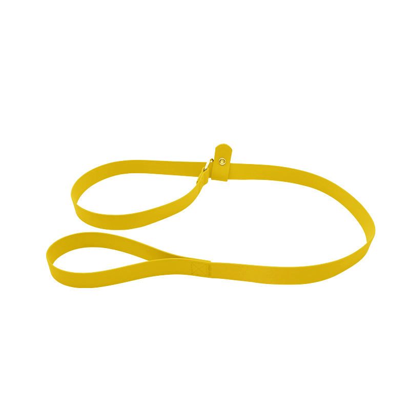 sunflower yellow