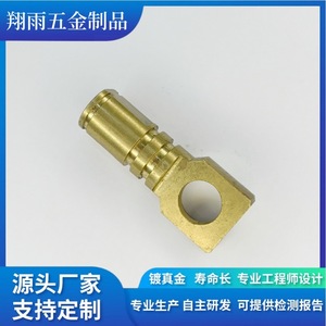 Pièces en fer non standard usinées sur mesure, tournées sur tour, finition de précision, diamètre max. 20 mm, longueur 80 mm - Product Image 2
