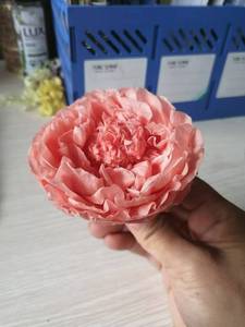 Fleur naturelle préservée en gros, rose Grand Austin, rose éternelle, tête <span class=keywords><strong>de</strong></span> pivoine éternelle pour coffret cadeau, <span class=keywords><strong>bouquet</strong></span> DIY - Product Image 2