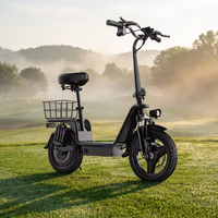 Vélo électrique pliable fiable pour la ville, 20 pouces, pneus larges 4.0, moteur 750W, batterie 48V 15Ah avec écran LCD intelligent