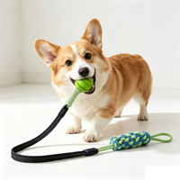 Ensemble de jouets de traction pour chien, mignons, en corde de coton et caoutchouc, jouets à mâcher interactifs, conception avec ancre de porte, pour chiens de taille moyenne, intérieur/extérieur, jeu de la corde