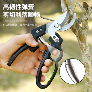 Pinheng Bypass Pruning Shears 20-30 Mm Carbon Steel Manual Garden Tool For <b>Tree</b> Branches - Product Image 3