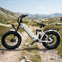 Vélo électrique tout-terrain à suspension haute performance OEM à cadre bas pour la vente