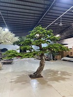 Vente en gros de plantes en plastique simulées personnalisées aménagement paysager intérieur extérieur décoration de restaurant d'hôtel pin artificiel