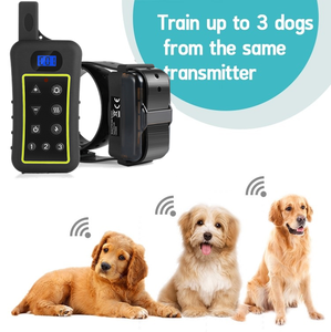 Uzaktan 1200m köpek şok tasması avcılık için su geçirmez kendini savunma elektrik çarpması yaka köpek eğitim - Product Image 2