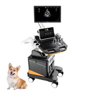 Dawei pet échographie cardiaque échographie 3D couleur doppler machine à ultrasons vétérinaire 4d échographie animale