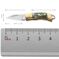 Couteau pliant mini en laiton, lame en acier inoxydable, coupe-fruits de poche, outil EDC, manche en coquille, équipement de camping extérieur - Vente en gros usine