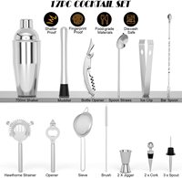 Ensemble de 17 pièces pour cocktails, kit de barman, shaker Boston en acier inoxydable, ensemble d'outils de mixologie pour bar à domicile, fête, cadeau