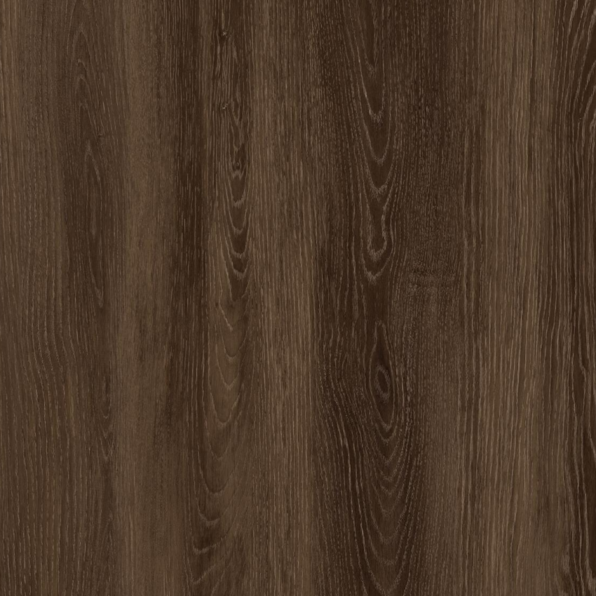 ช็อกโกแลต