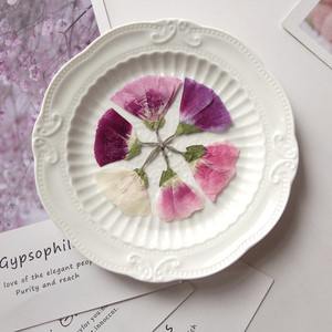 ขายส่ง<span class=keywords><strong>ดอกไม้</strong></span> DIY ลาก่อน<span class=keywords><strong>แห้ง</strong></span>กับดอกไม้ฤดูใบไม้ผลิสําหรับการทําเทียนเล็บเรซิ่นและการตกแต่งเคสโทรศัพท์มือถือ - Product Image 1