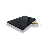 Écran LCD TFT personnalisé de 10,1 pouces, télécommandes vidéo, tablettes, navigation automobile, HD 1024x600, LVDS IPS, GT911, écran tactile capacitif