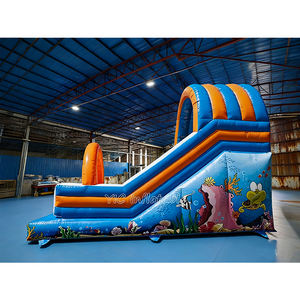 Château gonflable de toboggan gonflable de haute qualité Combo Ocean Theme Seal World <span class=keywords><strong>Maison</strong></span> de rebond gonflable avec toboggan à vendre - Product Image 3