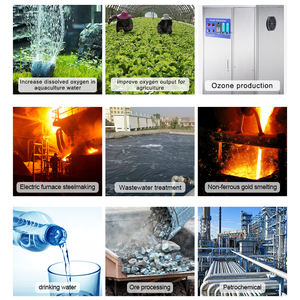 Compressore d'aria di acquacoltura Qlozone costruito in psa oxygene generatore di allevamento ittico concentratori di ossigeno ad alta pressione - Product Image 2