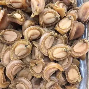 Kering Tidak Shell Abalone Akustik Murmeln Incrustaciones Dapat Makanan Kalengan Pingente Abalone Ubin Mosaik untuk Dijual