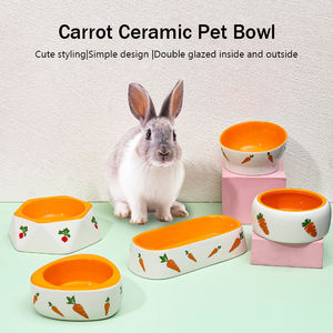 Kediler köpekler tavşanlar için özelleştirilebilir küçük boy seramik evcil hayvan kasesi dayanıklı kolay temizlenebilir besleyici - Product Image 3