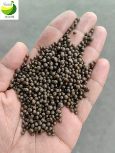 Prezzo Promozionale su Fertilizzante a Rilascio Rapido (NPK) 15-5-10 e 13-40-13 per Cura di Prati e Giardini, Personalizzabile - Product Image 2