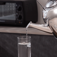 Bouilloire électrique en acier inoxydable 201 avec grande capacité, design classique, eau chaude pour la maison