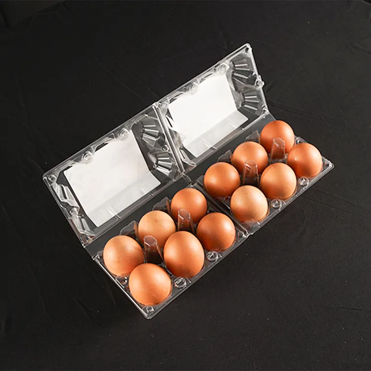 12 Packung Verkauf hochwertiges benutzerdefiniertes Design Großhandel PET-Kunststoff Eier-Schale Kartons