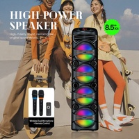 OEM ODM Enceinte Karaoké Portable 30W à Quatre Haut-parleurs de 8 Pouces, Couleurs RGB, avec Deux Microphones à Recharge Sans Fil, pour Événements en Plein Air et Réunions Familiales