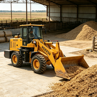 2-Tonnen-Landwirtschaftsradlader mit 1m³ Schaufel, 65kW Diesel, 4WD Kompakt-Frontlader für Hofarbeiten und Materialtransport