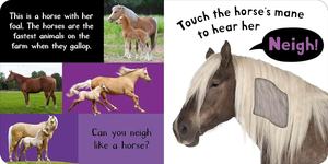 Noisy Animal My First Touch and Feel Livres sonores Noisy Baby Animals Noisy Farm Noisy Animals - Product Image 5