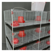 Cage à cailles anti-rouille avec cadre soudé renforcé, conçue pour les couvoirs commerciaux et les volières domestiques