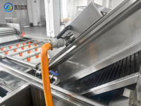 Complete fruit- en groenteverwerkingslijn met lichtinspectie, sortering, weeken, wassen en luchtdroging