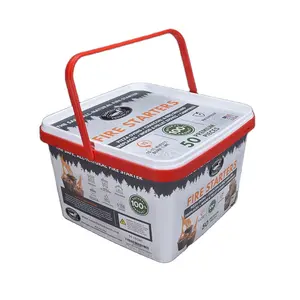 3L EDO客户标志印刷IML包装饼干容器，带两个手柄塑料PP饼干盒制造商