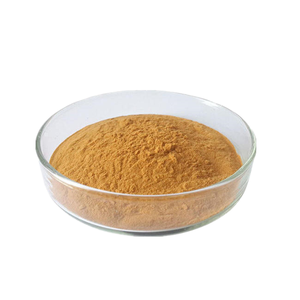 Poudre de racine de chicorée <span class=keywords><strong>Inuline</strong></span>, poudre d'<span class=keywords><strong>inuline</strong></span> en vrac, 90% d'<span class=keywords><strong>inuline</strong></span> biologique, extrait de chicorée biologique - Product Image 2