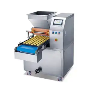 Small Scale Cookie Dropper Rotary Moulder Biscuit Make Machine Price Dough Cut and Shape in India