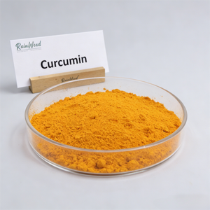 Bột chiết xuất nghệ Rainwood Natural <span class=keywords><strong>Supplement</strong></span>, hàm lượng <span class=keywords><strong>Curcumin</strong></span> 10% - 95%, tan trong nước - Product Image 1