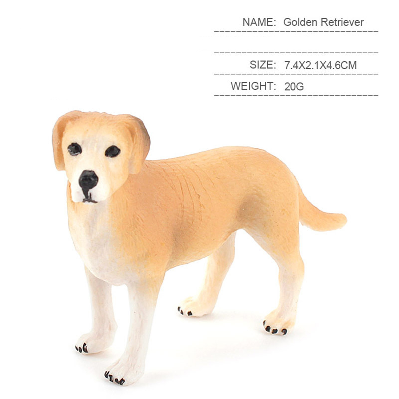 perro perdiguero de oro