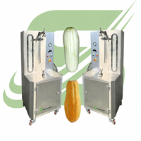 SAIDASHI RVS Automatische Hoge Capaciteit Fruit- en Groenteschilmachine Enkel/Dubbelkop 110V/220V/380V voor Pompoenverwerking