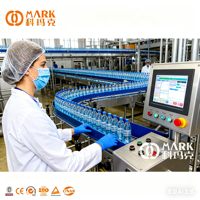 Machines de mise en bouteille - Ligne complète de machines de mise en bouteille d'eau automatiques industrielles avec système de purification d'eau pure