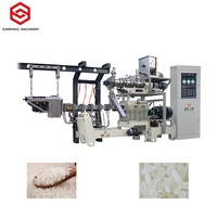 Nouvelles innovations Machine d'extrudeuse de riz électrique automatique 220V fabricant de bouillie fortifiée pour farine et grain chauffé à la vapeur