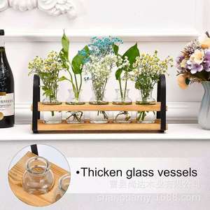 Wooden hydroponic container <b>shelf</b> with transparent glass test tubes and bottles, <b>desktop</b> hydroponic plant container, decorative - Product Image 4