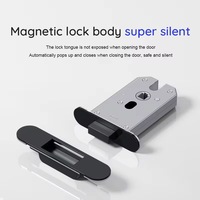 Clé RFID de compatibilité de l'aimant FingeLock de serrure de poignée silencieuse écologique pour la maison hôtels stockage de mot de passe d'accès à la maison intelligente
