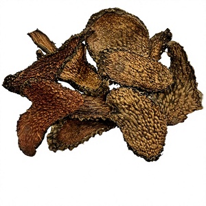 Tranches de racine séchées d'Eleutherococcus Trifoliatus Syn Acanthopanax Trifoliatus de qualité supérieure, soigneusement sélectionnées, provenant de forêts naturelles du Vietnam - Product Image 1