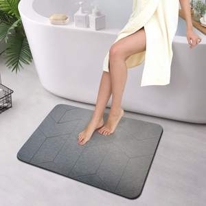 Uv baskılı hızlı kuru kaymaz kendinden kurutma katlanabilir taş mutfak diyatomit taş banyo köpekler için hızlı kurutma banyo paspas - Product Image 4