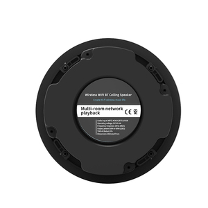 Smart Home Wall & Ceiling <b>Speaker</b> Built-in Amplifier 60W 2.0 Channel Active <b>Speakers</b> WiFi for Multi-room Smart <b>Speakers</b> - Product Image 2