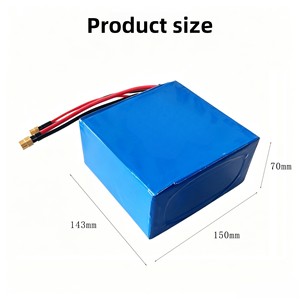 Bateria Recarregável de Fosfato de Ferro-Lítio OEM LFP 33140 8S1P 25.6V 15Ah LiFePO4 - Product Image 4
