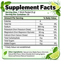 WELLBODY Poudre d'électrolytes saveur Mojito, non alcoolisée, pour l'hydratation et l'énergie, sans sucre, 30 sachets de 150g