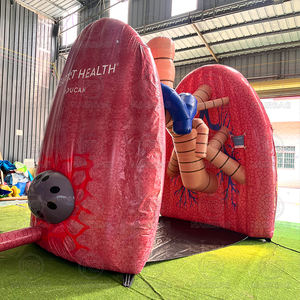 Riesige Lungenkrebs bewusstsein Schlauchboote Modell Lunge Aufblasbare Ausstellung Event Gesundheits messen-Herz Gehirn Colon Nieren Leber Brust - Product Image 4