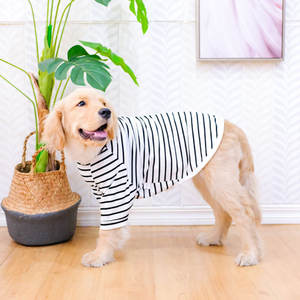 Venta al por mayor de ropa para perros grandes, ropa para mascotas, diseño de moda, camisa fina de verano, ropa para mascotas, ropa para perros - Product Image 2