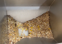 Machine automatique de remplissage de gobelets et de scellage de films préformés/enroulés 2 en 1 pour granulés/popcorn/farine de maïs